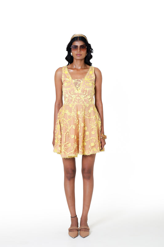 The Buttercup Mesh Mini Dress