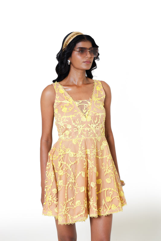 The Buttercup Mesh Mini Dress