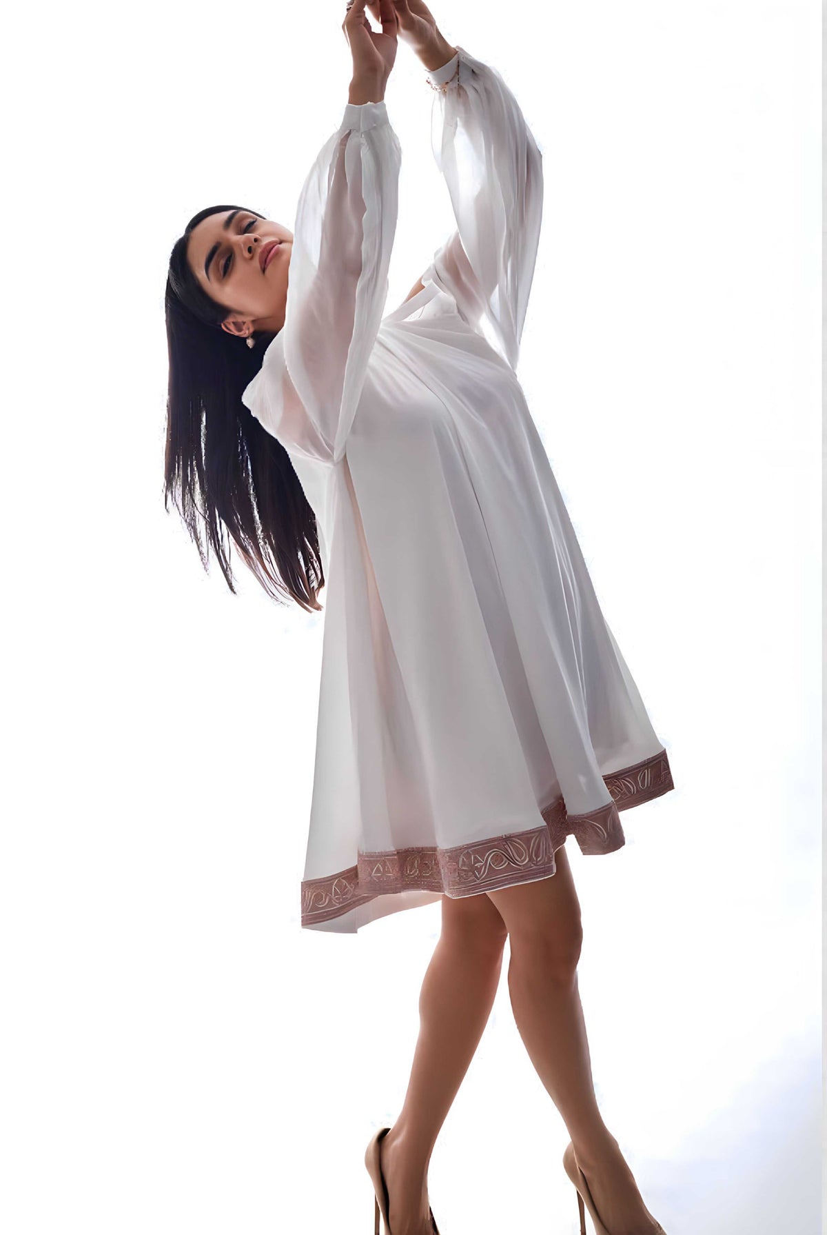 Embroidered Soft Sheer Balloon Sleeved Dress