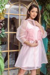 Organza A-line Pink Dress